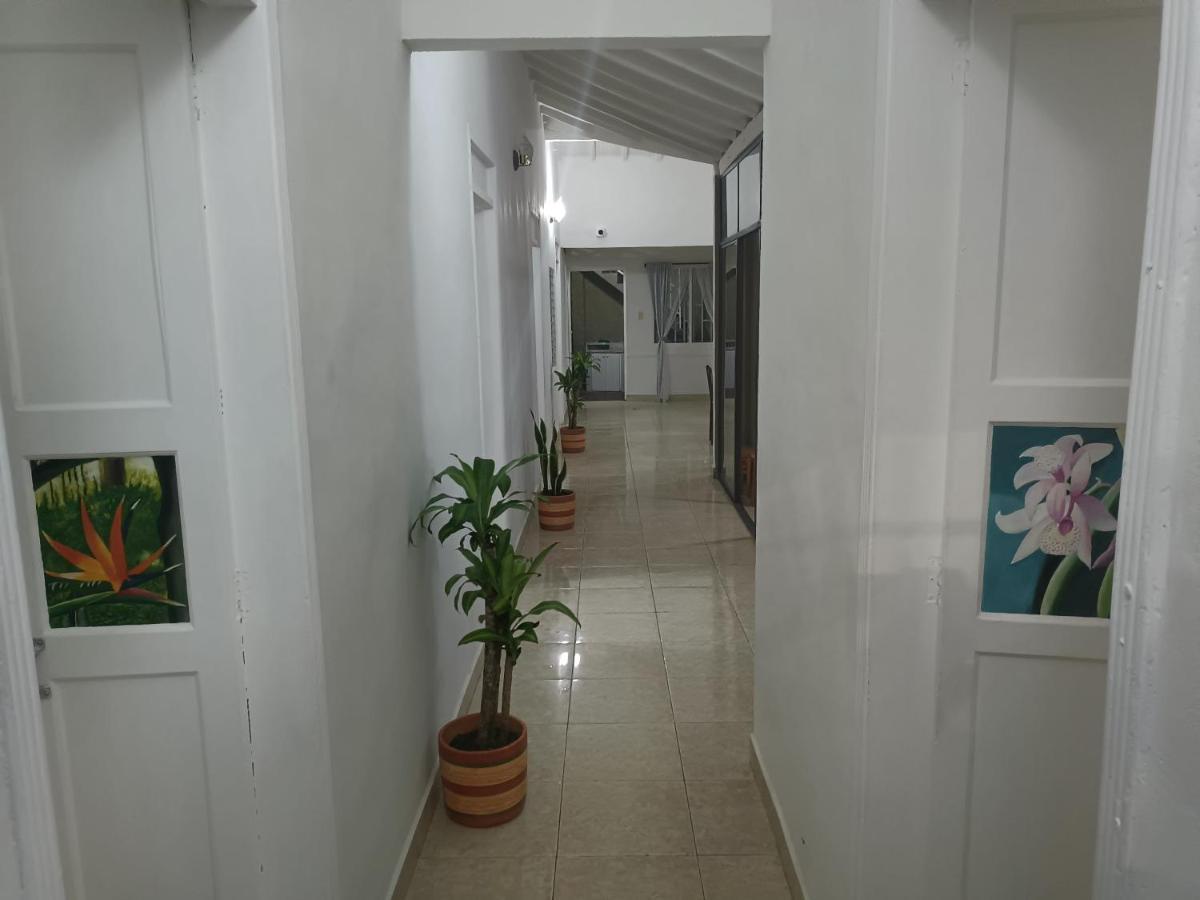 Hospedajes El Jardin เอบิกาโด ภายนอก รูปภาพ