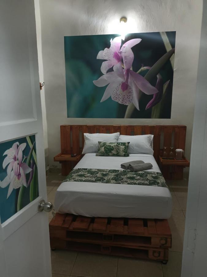 Hospedajes El Jardin เอบิกาโด ภายนอก รูปภาพ